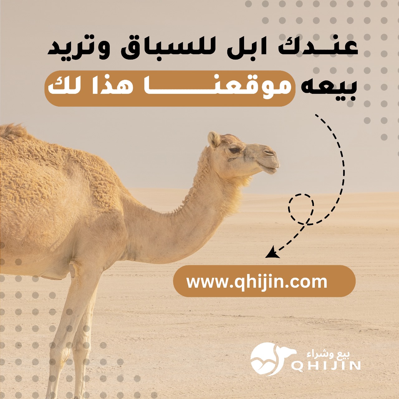 كيو هجن 